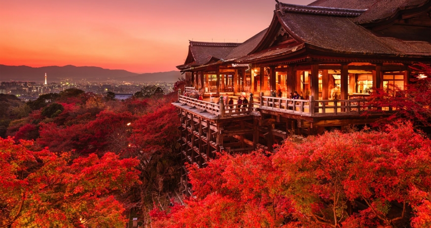 Japonya & Kore Turu Mistik Rotalar ( Sakura Dönemi ) • Vizesiz • THY ile • 7 Gece 10 Gün