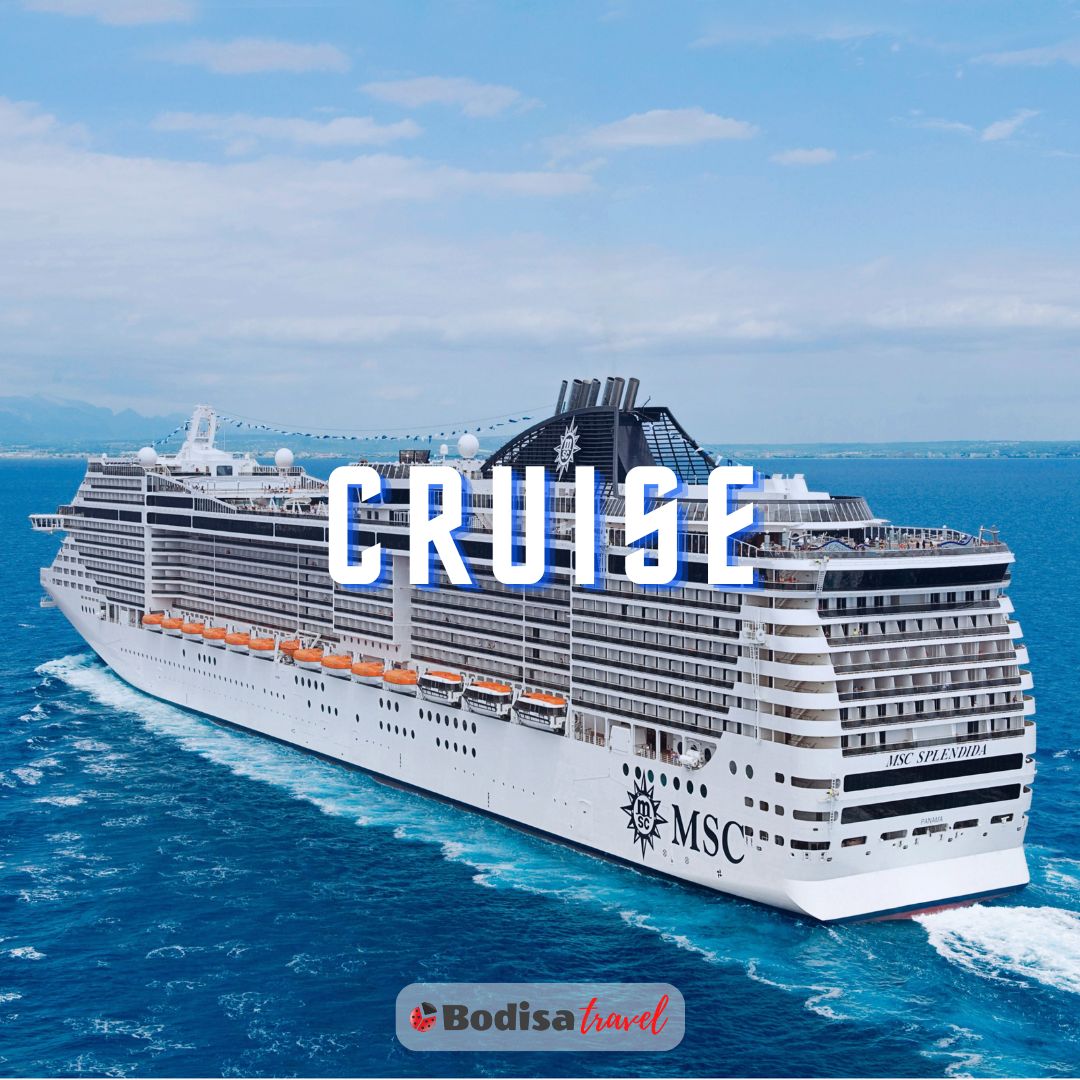 Cruise Turları