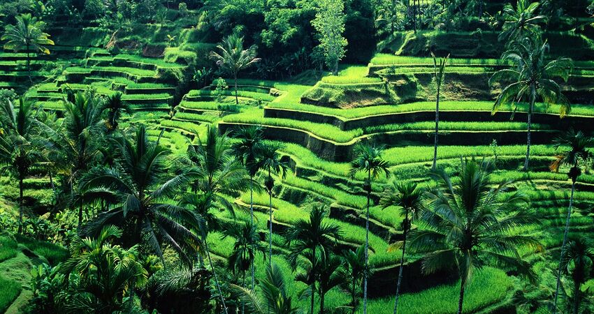 Yeryüzü Cenneti Bali (Ekstra Turlar Dahil)