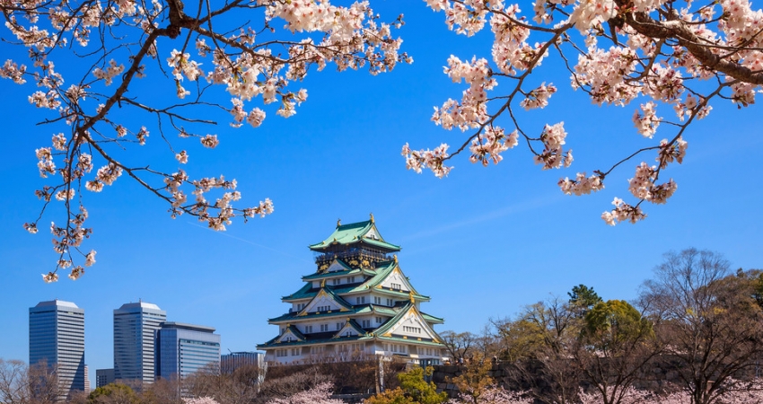Class Japonya Turu I Ekstra Turlar Dahil I Etihad Hava Yolları ile I 6 Gece 8 Gün