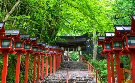 Kurban Bayramı Özel I Bella Japonya & Güney Kore Turu I Ekstra Turlar Dahil I THY İle I 10 Gece 12 Gün