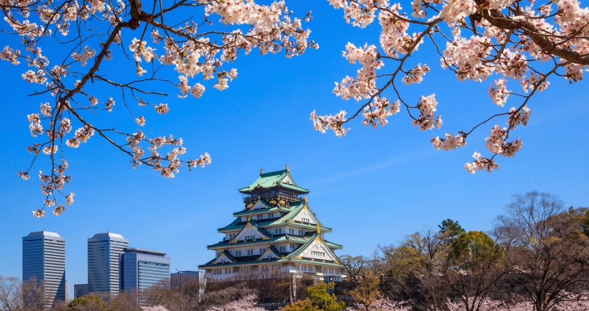 Sakura ve Ramazan Bayramı Özel • Japonya Turu • Vizesiz • Tüm Turlar Dahil • Qatar HY ile • 7 Gece 10 Gün (IST)