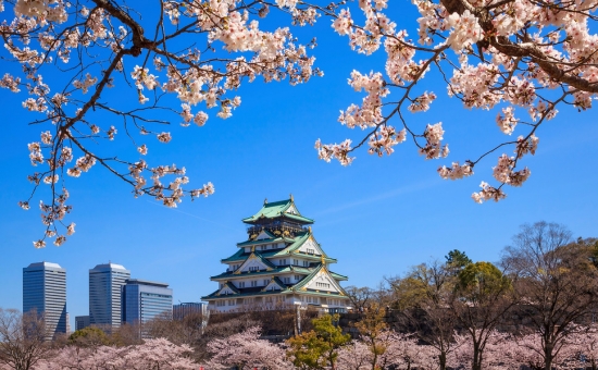 Muhteşem Japonya Turu I Vizesiz I Ekstra Turlar Dahil I All Nippon HY ile I 6 Gece 8 Gün