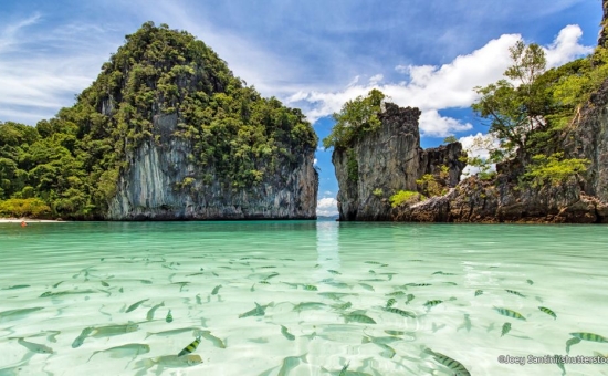 Bella Bangkok & Pattaya & Phuket Turu • Ekstra Turlar Dahil • THY ile • 6 Gece 9 Gün (BKK-HKT)