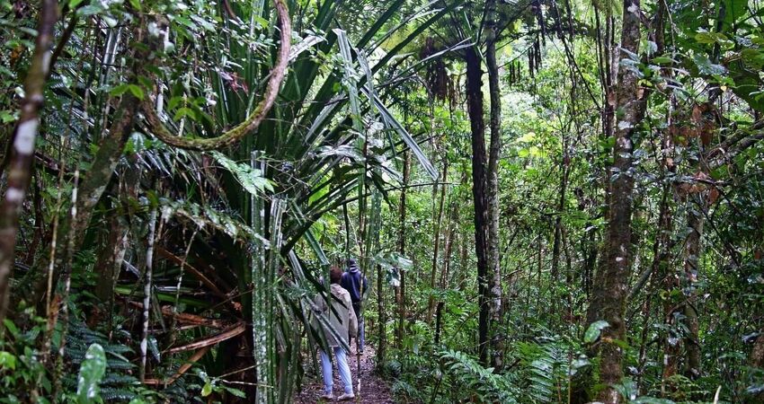 Madagaskar Mauritius Turu • Tüm Geziler Dahil • THY ile • 9 Gece 11 Gün                          