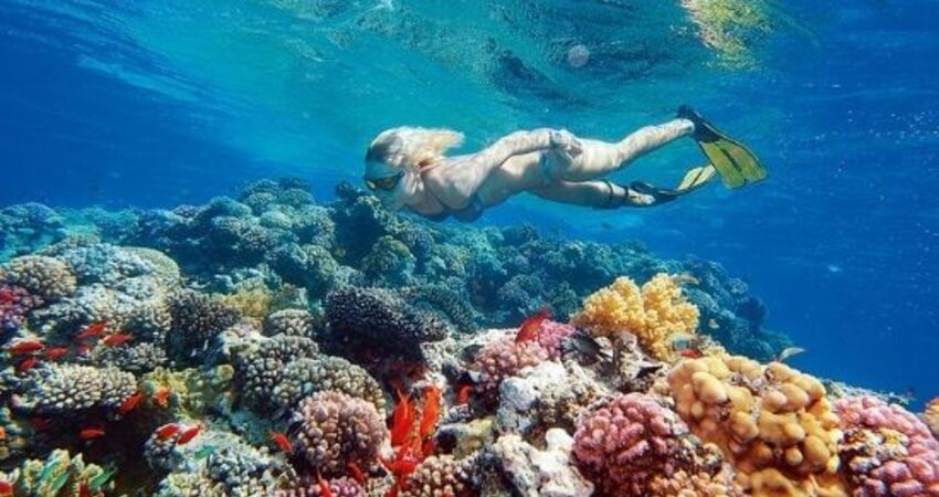 Ankara Çıkışlı I Kahire & Hurghada Turu I Ajet HY ile I 4 Gece 7 Gün