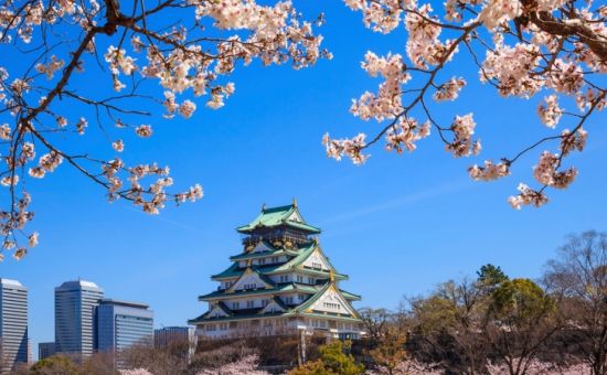 Bella Japonya & Güney Kore Turu I Ekstra Turlar Dahil I THY ile I 9 Gece 11 Gün