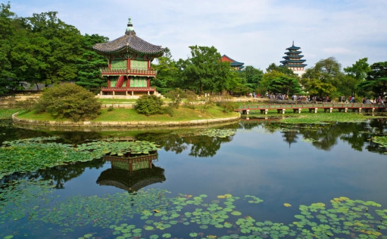 Klasik Japonya I Güney Kore Turu I Vizesiz I THY ile I 7 Gece 9 Gün