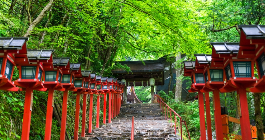 Sömestre Özel I Japonya & Hong Kong Turu I THY İle 7 Gece 10 Gün