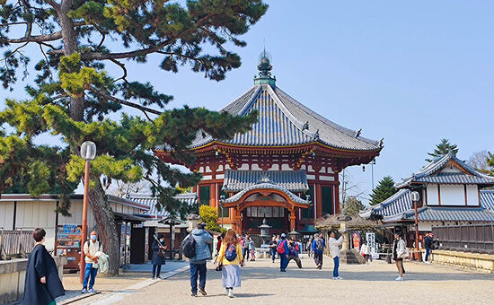 Sömestre Özel I Büyük Japonya Turu I THY ile I 7 Gece 10 Gün I 2026 (HND-KIX)