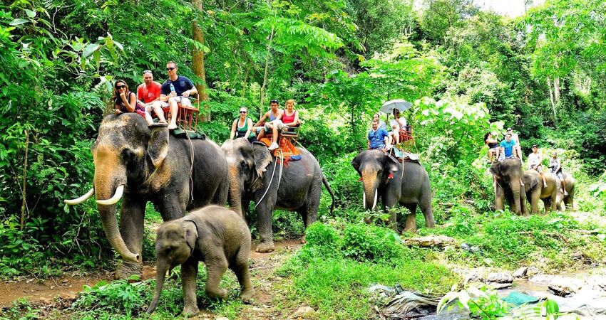 Phuket Turu (HKT-HKT) I Singapur HY ile I 5 Gece 8 Gün I 2026