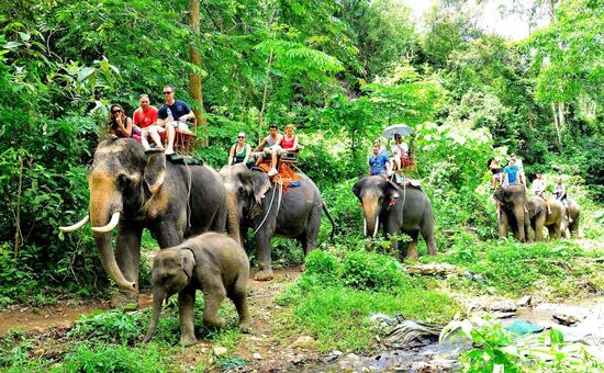 Büyük Tayland Turu I Gündüz Turları Dahil I 6 Gece 9 Gün I Emirates Hy Ile (HKT-BKK)