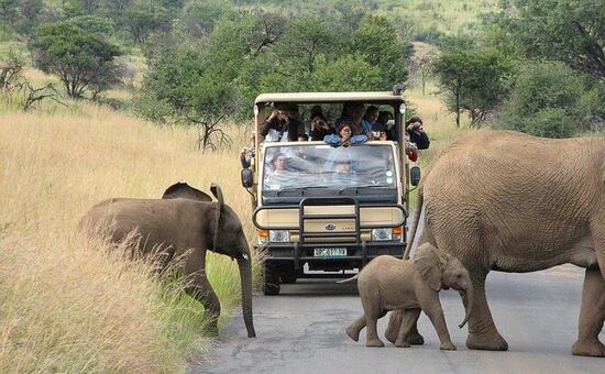 Bayram Dönemi Güney Afrika Turu | 6 Gece 9 Gün | Vizesiz | Qatar HY ile