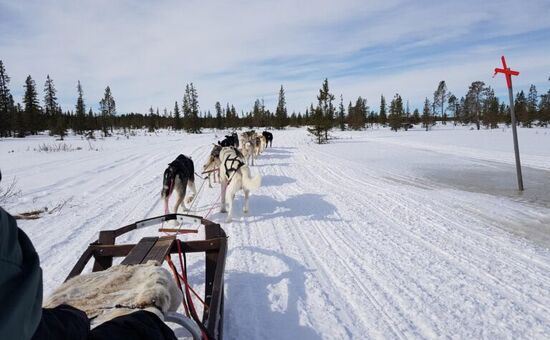 Yılbaşı Özel | Arctic Express ile Kuzey Rusya Murmansk Kuzey Işıkları Turu | Tüm Etkinlikler Dahil | 7 Gece 8 Gün | THY ile