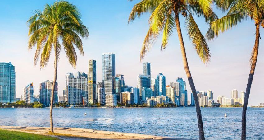 Florida Rüyası Turu | THY İle |6 Gece 8 Gün