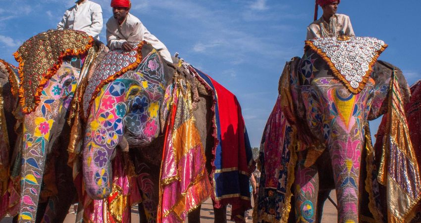 Royal Hindistan Sarayları ve Taj Mahal Turu | Ekstra Turlar Dahil  | 6 Gece 8 Gün | THY ile