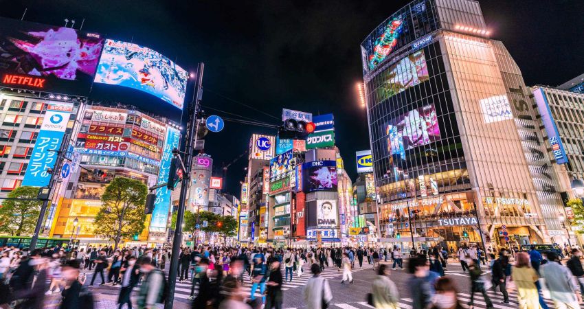 Sakura Dönemi Royal Japonya & Kore Turu  | Ekstra Turlar Dahil  |  7 Gece  |  THY ile (Seul Gidiş)