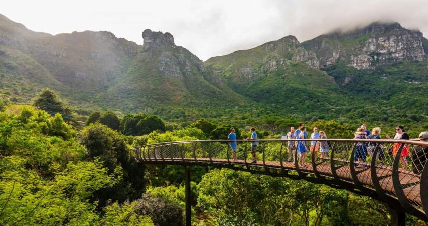 Royal Güney Afrika Safari Turu  |  Ekstra Turlar Dahil  |  6 Gece  |  THY ile