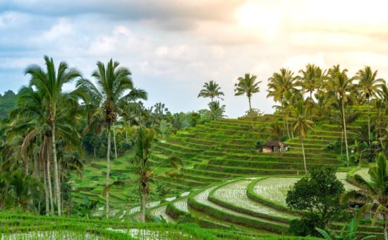 Bella Bali &  Ubud Turu  |  Ekstra Turlar Dahil  |  5 Gece  |  THY ile