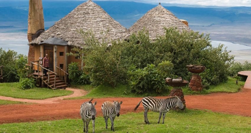 Bella Kenya &  Tanzanya Büyük Göç Turu  |  Ekstra Turlar Dahil  |  9 Gece 10 Gün  |  THY ile