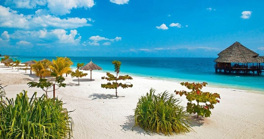 Bella Kenya &  Tanzanya Büyük Göç Turu  |  Ekstra Turlar Dahil  |  9 Gece 10 Gün  |  THY ile