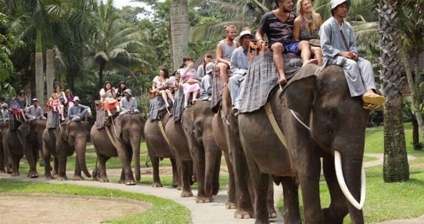 Bangkok &  Phuket Turu  |  7 Gece  |  THY ile (BKK-HKT)