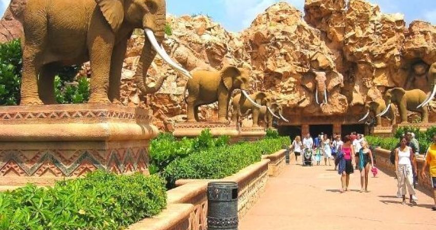 Maxi Güney Afrika Turu  |  Ekstra Turlar Dahil  |  7 Gece - 8 Gün  |  THY ile (JNB-CPT)