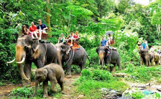 Bella Bangkok &  Phuket &  Pattaya Turu  |  Ekstra Turlar Dahil  |  6 Gece  |  Saudia ile (BKK - BKK)