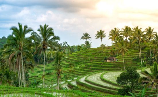 Bella Bali Turu  |  Ekstra Turlar Dahil  |  5 Gece  |  Emirates ile