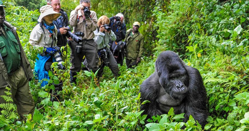 Bella Ruanda &  Uganda Turu  |  Ekstra Turlar Dahil  |  8 Gece - 9 Gün  |  THY ile (KGL-EBB)