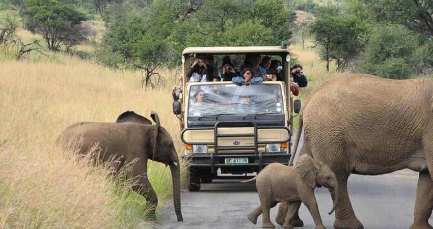Royal Güney Afrika Turu  |  Ekstra Turlar Dahil  |  6 Gece  |  THY ile