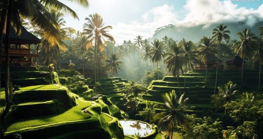 Bella Bali Ubud Turu  |  Ekstra Turlar Dahil  |  5 Gece  |  THY ile  |  DPS - DPS