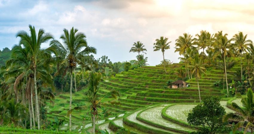 Muhteşem Bali Turu  |  5 Gece  |  Singapur HY ile