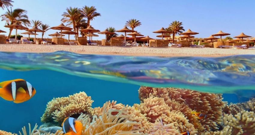 Sharm El Sheikh Turu  |  3 Gece 4 Gün  |  Pegasus HY ile
