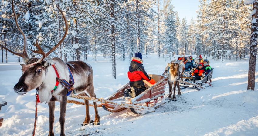 Royal Lapland Turu | Ekstra Turlar Dahil | 4 Gece | THY İle