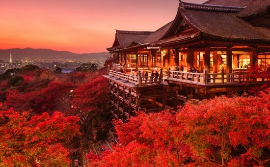 Sakura ve Ramazan Bayramı Özel • Güney Kore ve Japonya Turu • Tüm Turlar Dahil • Qatar HY ile • 9 Gece 12 Gün