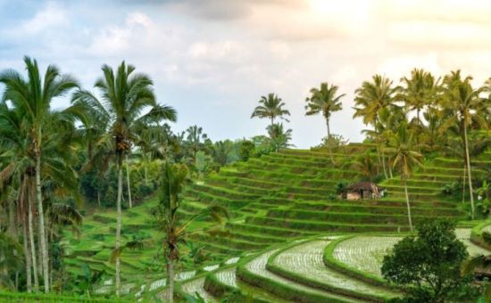 Class Ubud &  Bali Turu  │  Ekstra Turlar Dahil  │  7 Gece  │  THY ile